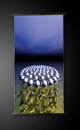 L Banner - LB02